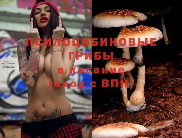 ПСИЛОЦИБИНОВЫЕ ГРИБЫ Алексин