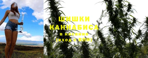 крисы Алексеевка