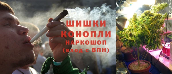 тгк Лагань