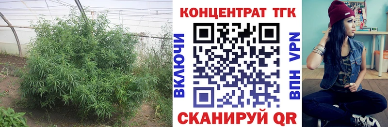 Дистиллят ТГК гашишное масло  omg рабочий сайт  Павлово 