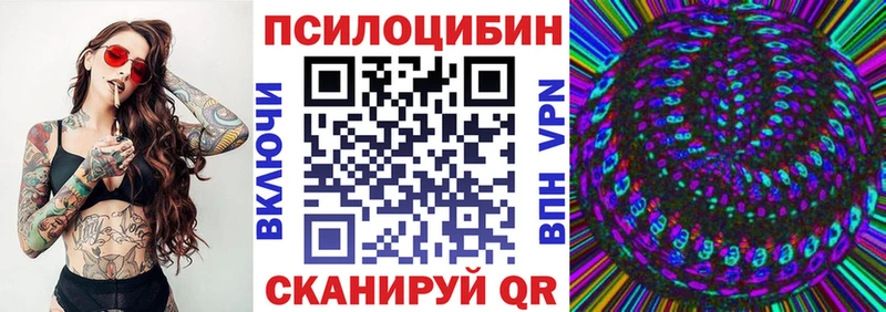 магазин  наркотиков  Павлово  hydra сайт  Галлюциногенные грибы Psilocybine cubensis 